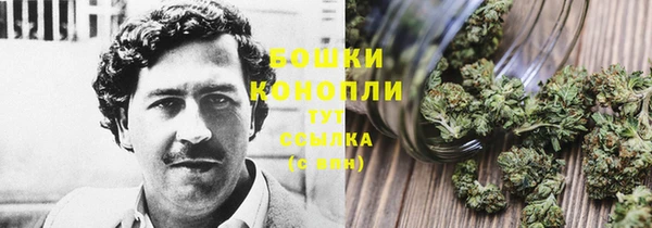 ALPHA-PVP Бородино