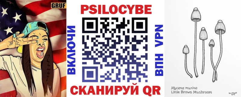 Галлюциногенные грибы мицелий  Гурьевск 